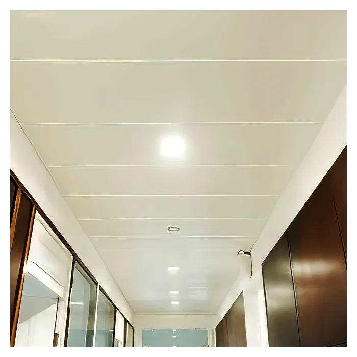 Кассетные потолок для коридорных зон PERFATEN CR 100-1/100-2