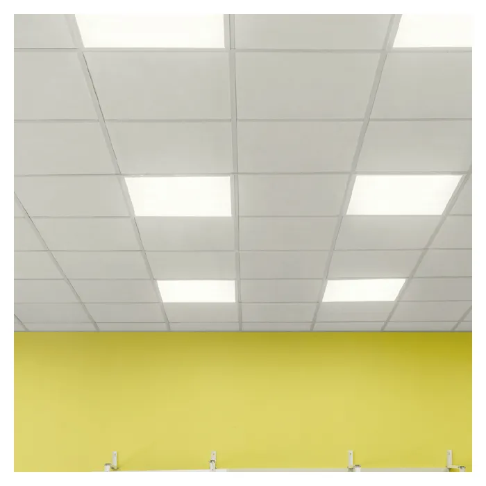 Стеновые панели Рокфон Школа