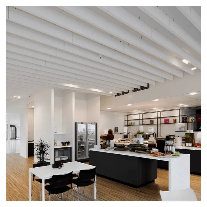 Свободновисящие элементы Ecophon Баффл 1190х195мм, Белый (Н2)